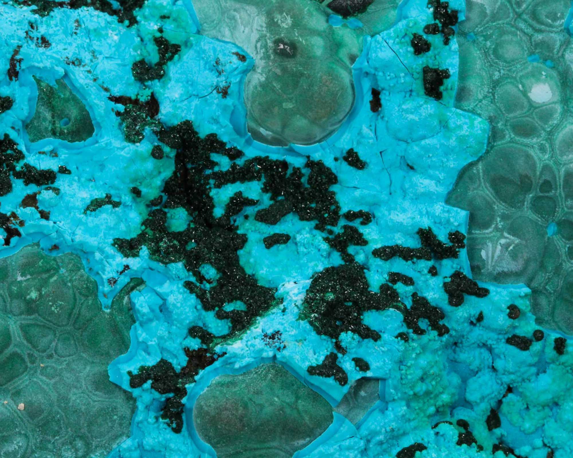 Malachite with Chrysocolla