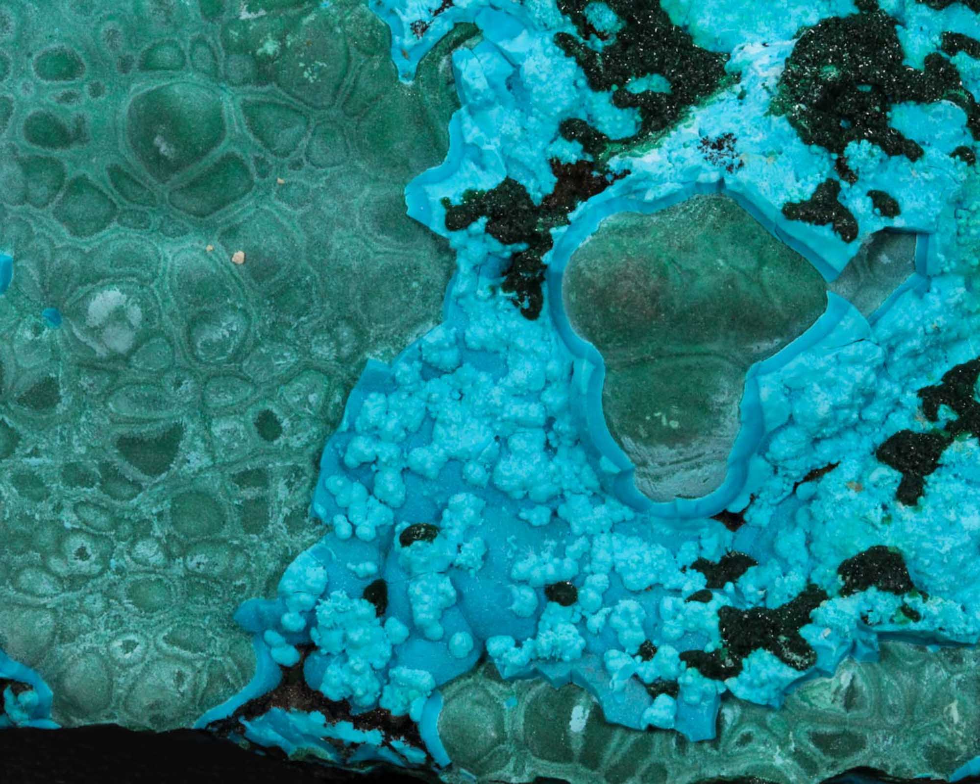 Malachite with Chrysocolla