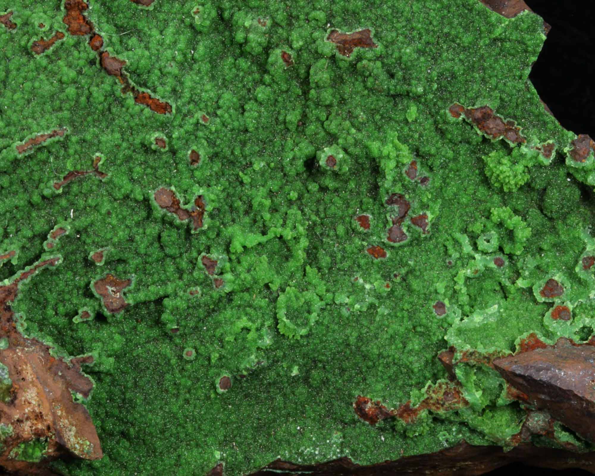 Conichalcite