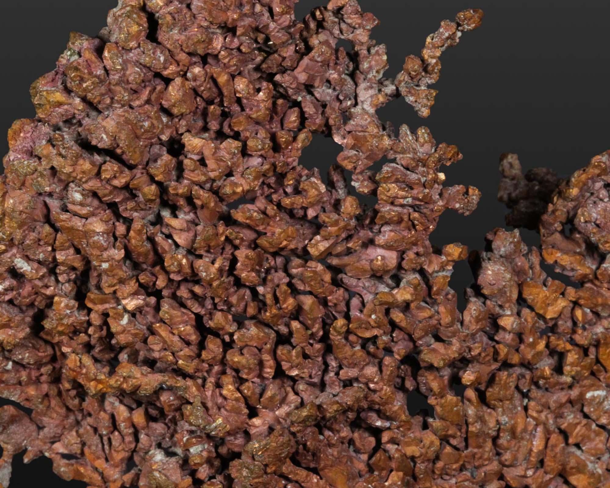 Copper Dendrite