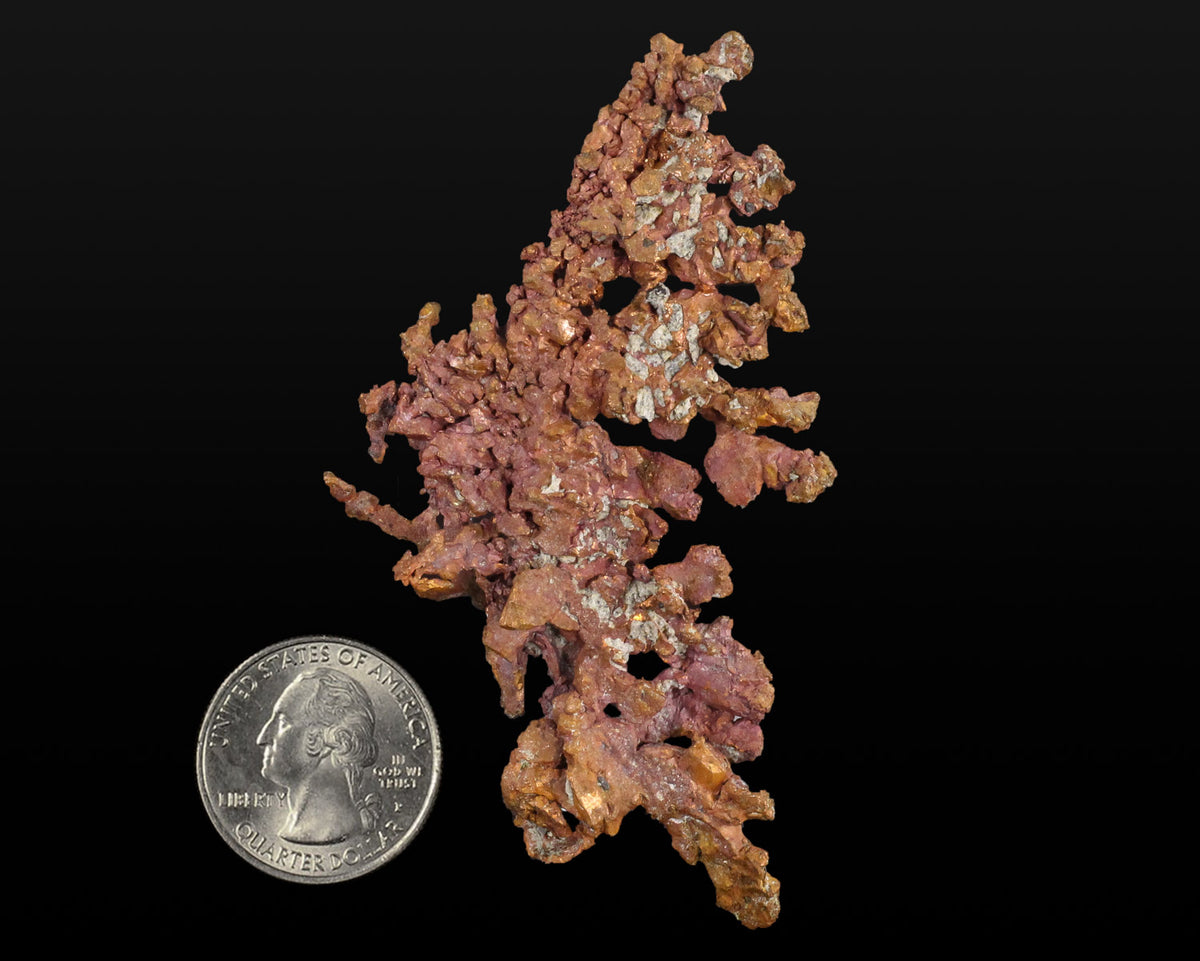 Copper Dendrite