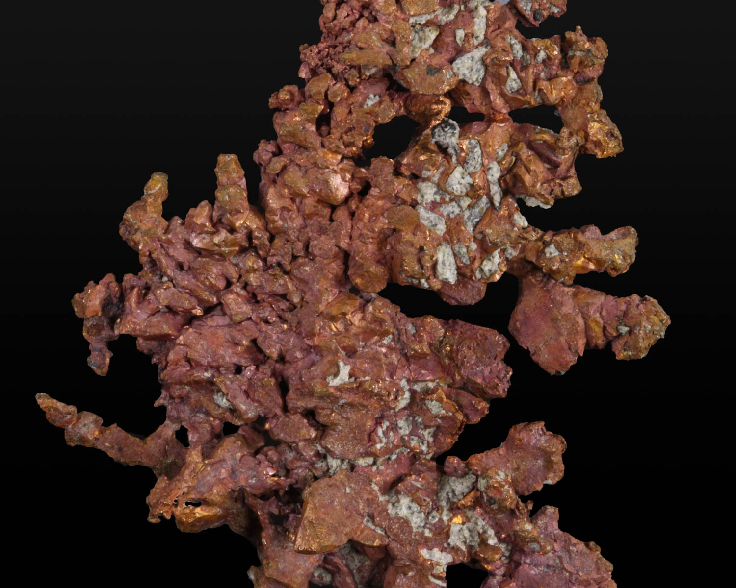 Copper Dendrite