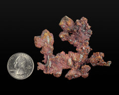 Copper Dendrite