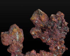 Copper Dendrite