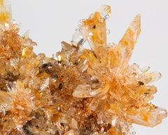 Creedite