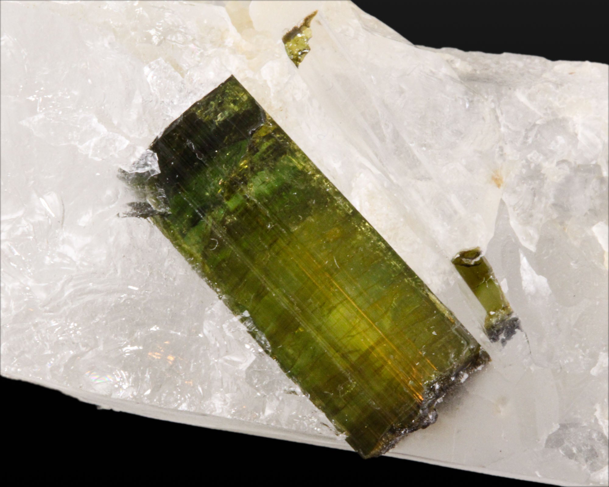 Elbaite Tourmaline on Quartz