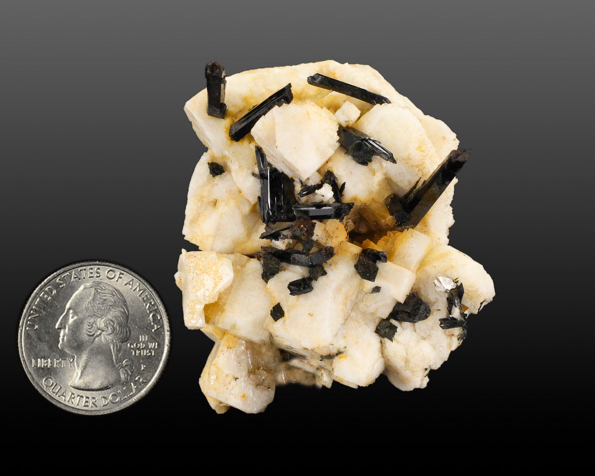 Feldspar with Schorl Tourmaline