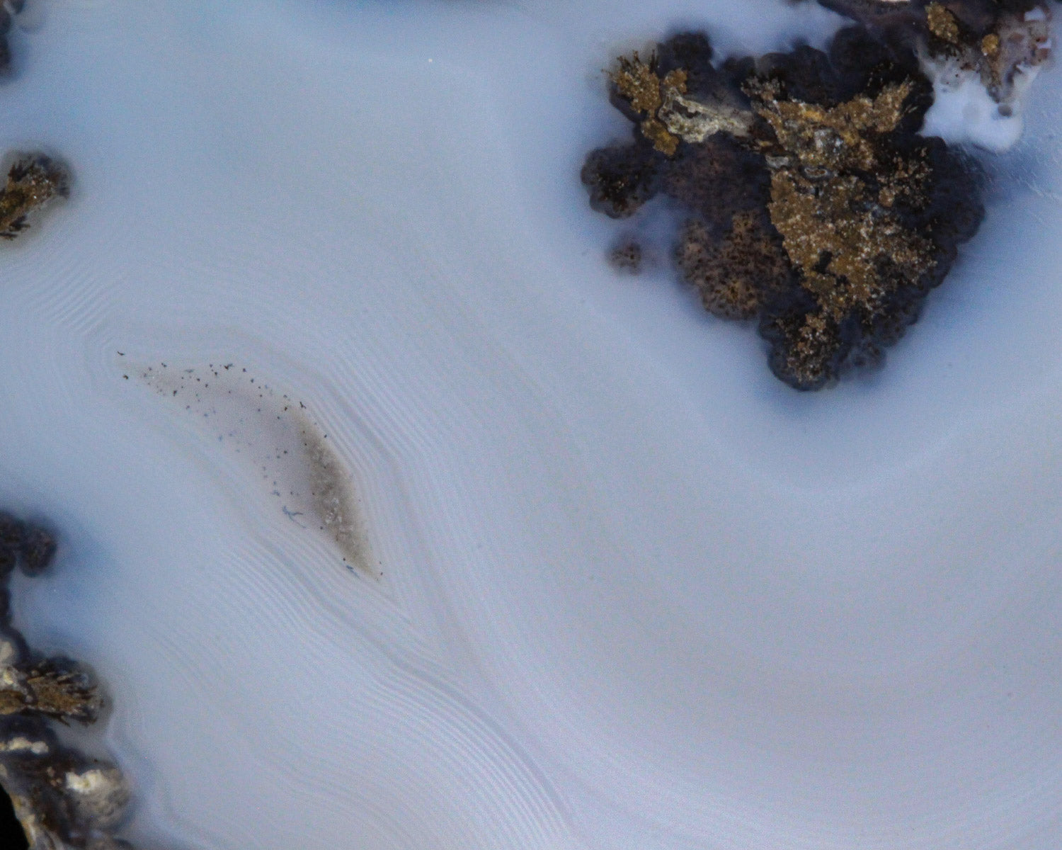 Coconut Geode