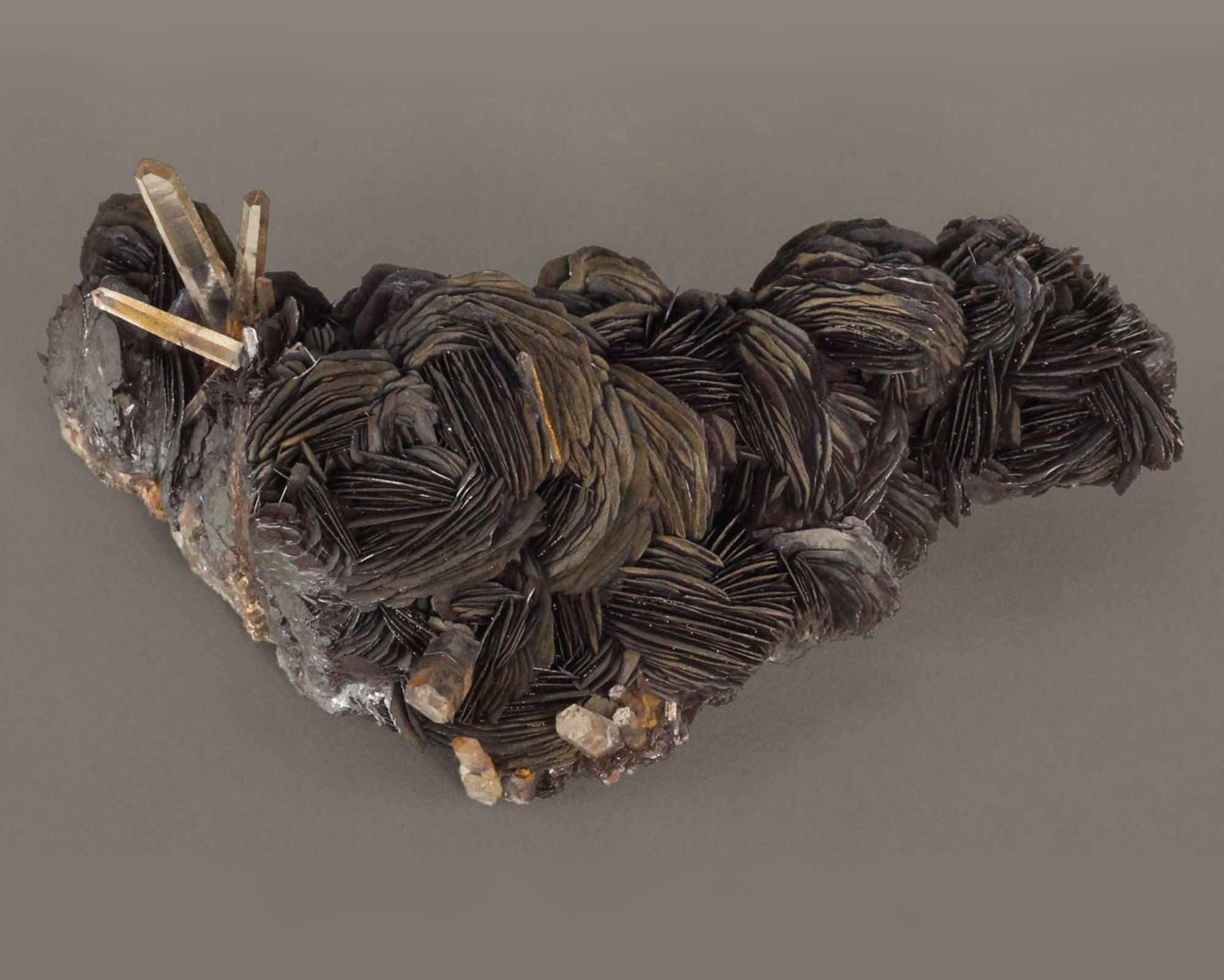 Hematite blades with Quartz