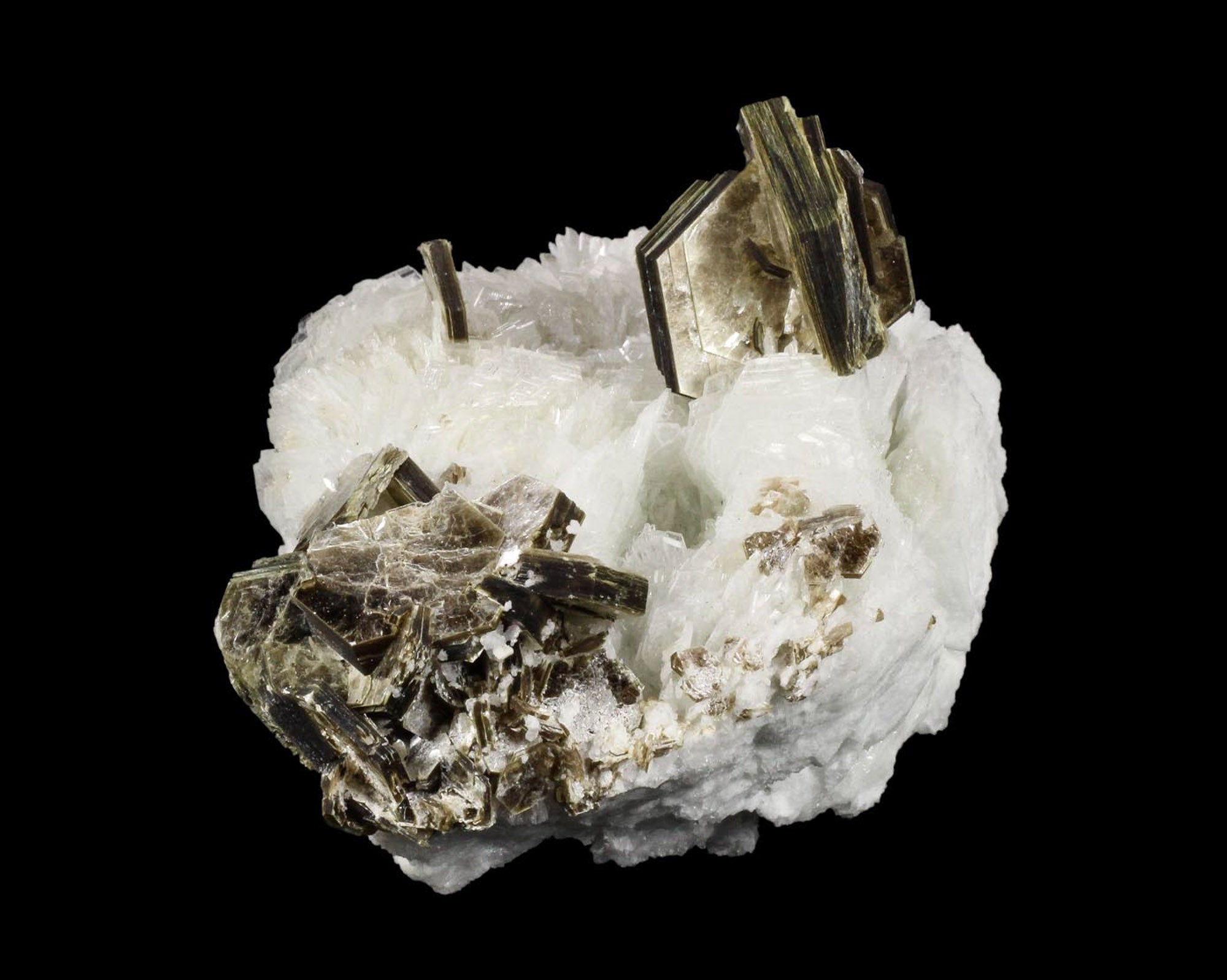 Muscovite on Albite