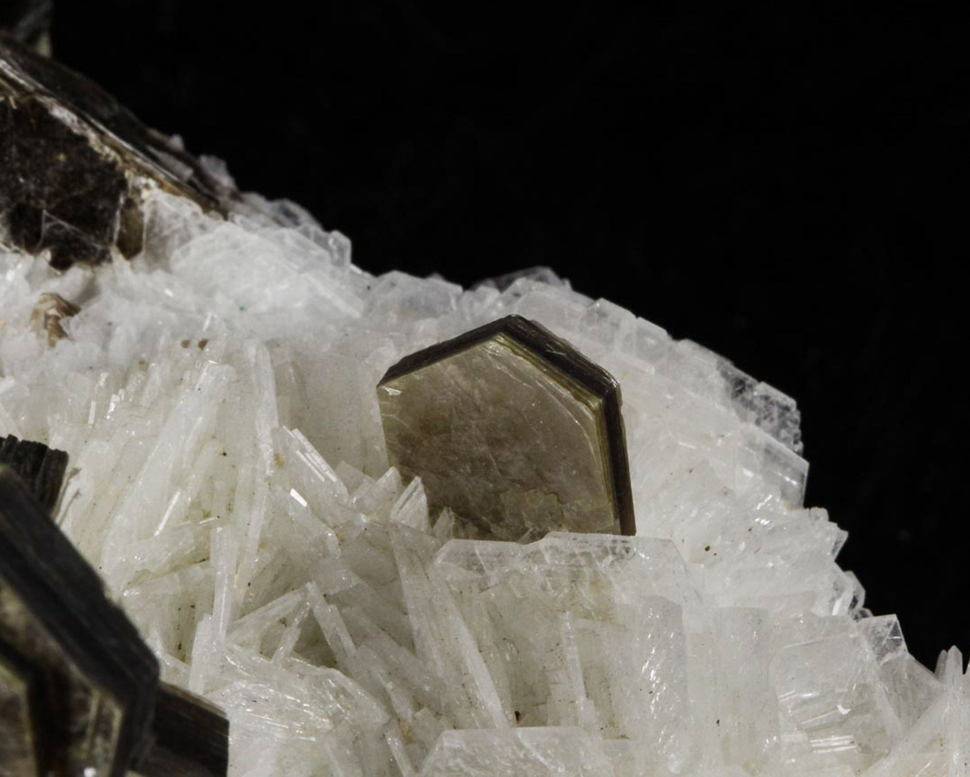 Albite On Core Albite Mineral Color