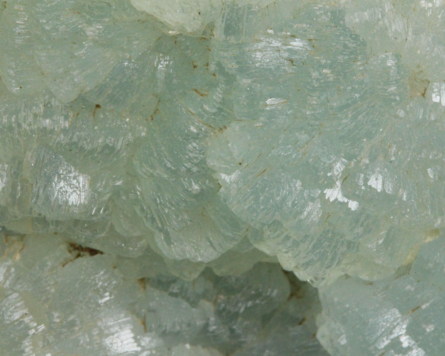 Prehnite