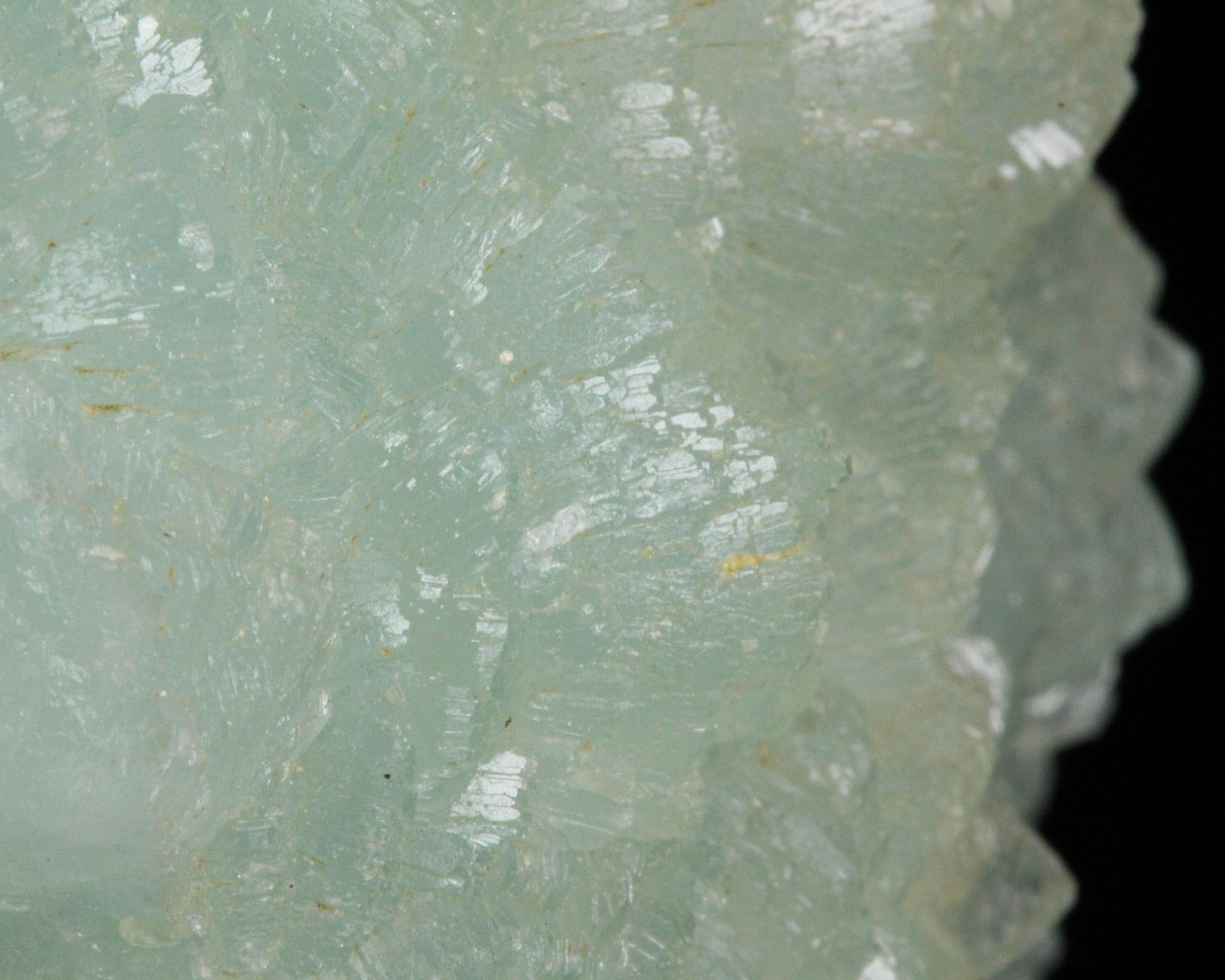 Prehnite