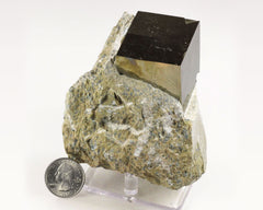 Pyrite Cube on Matrix