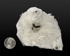 Pyrite with Quartz