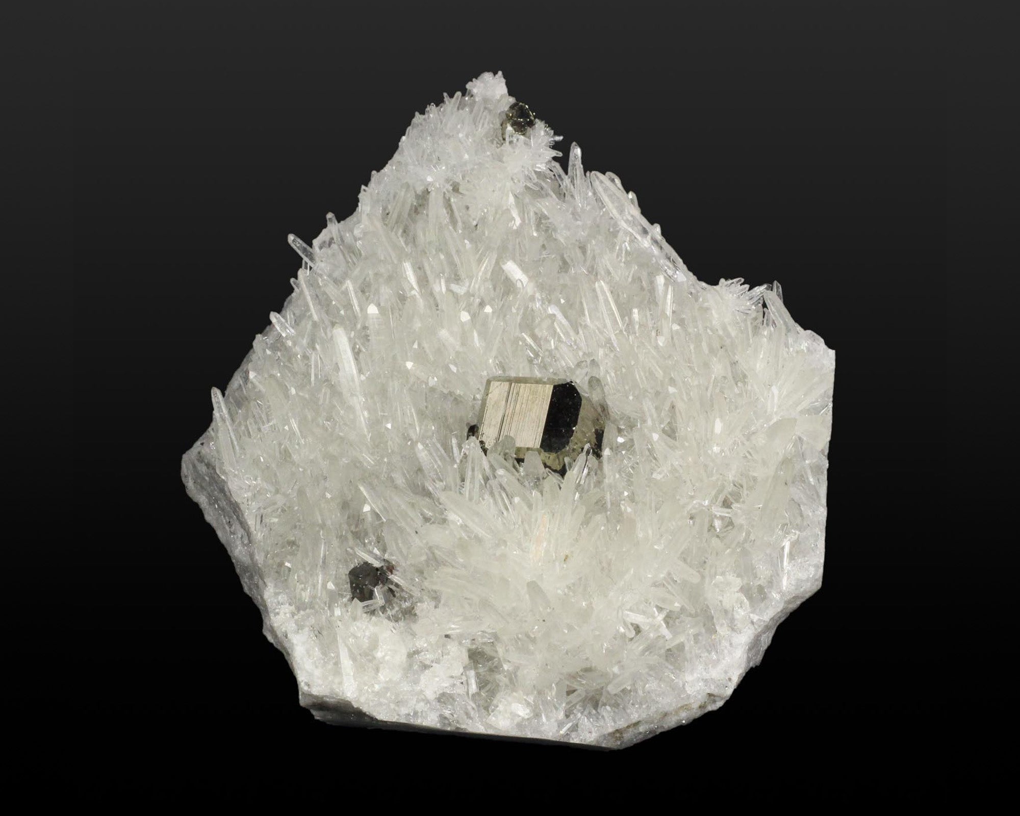 Pyrite with Quartz