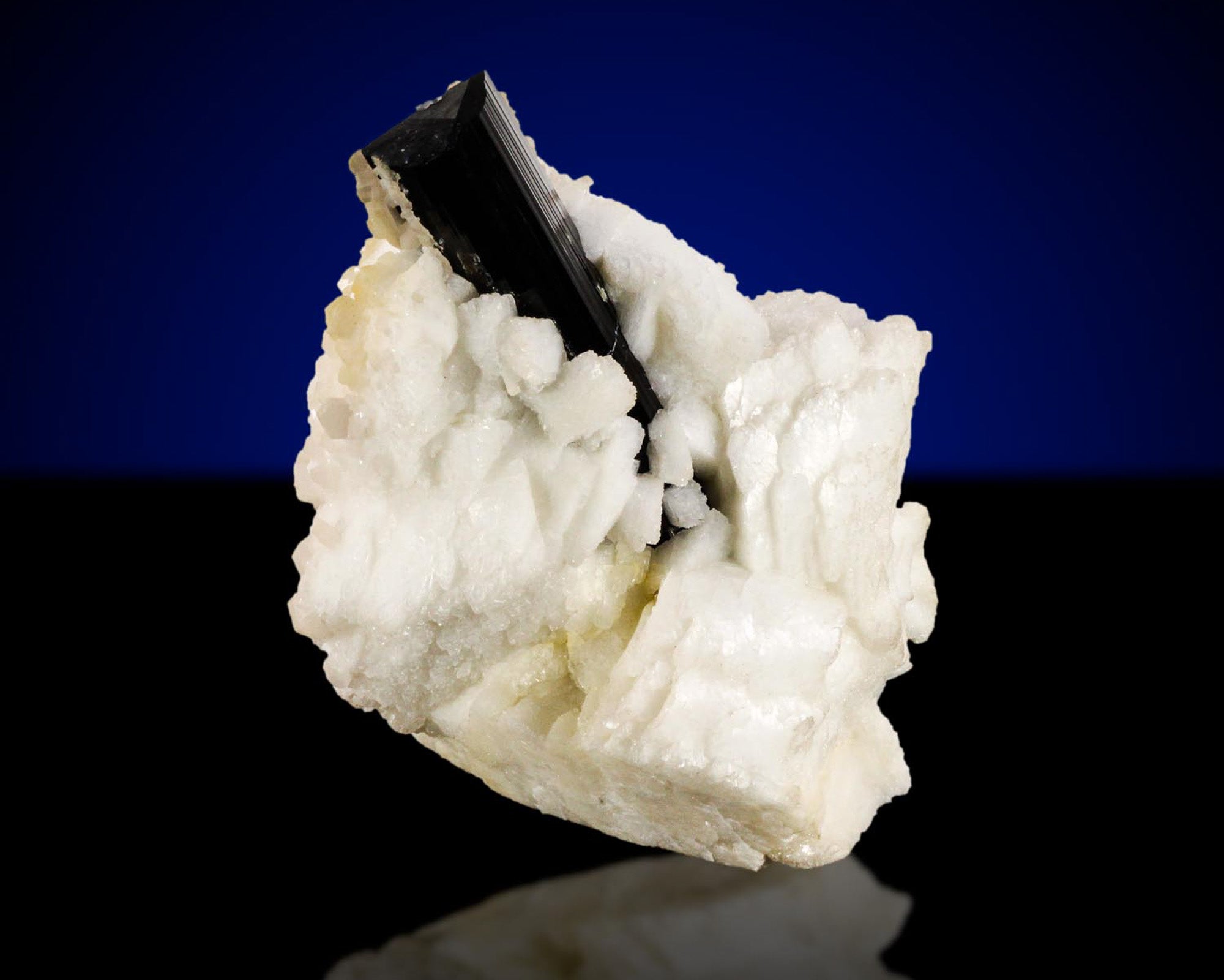 Schorl Tourmaline with Albite