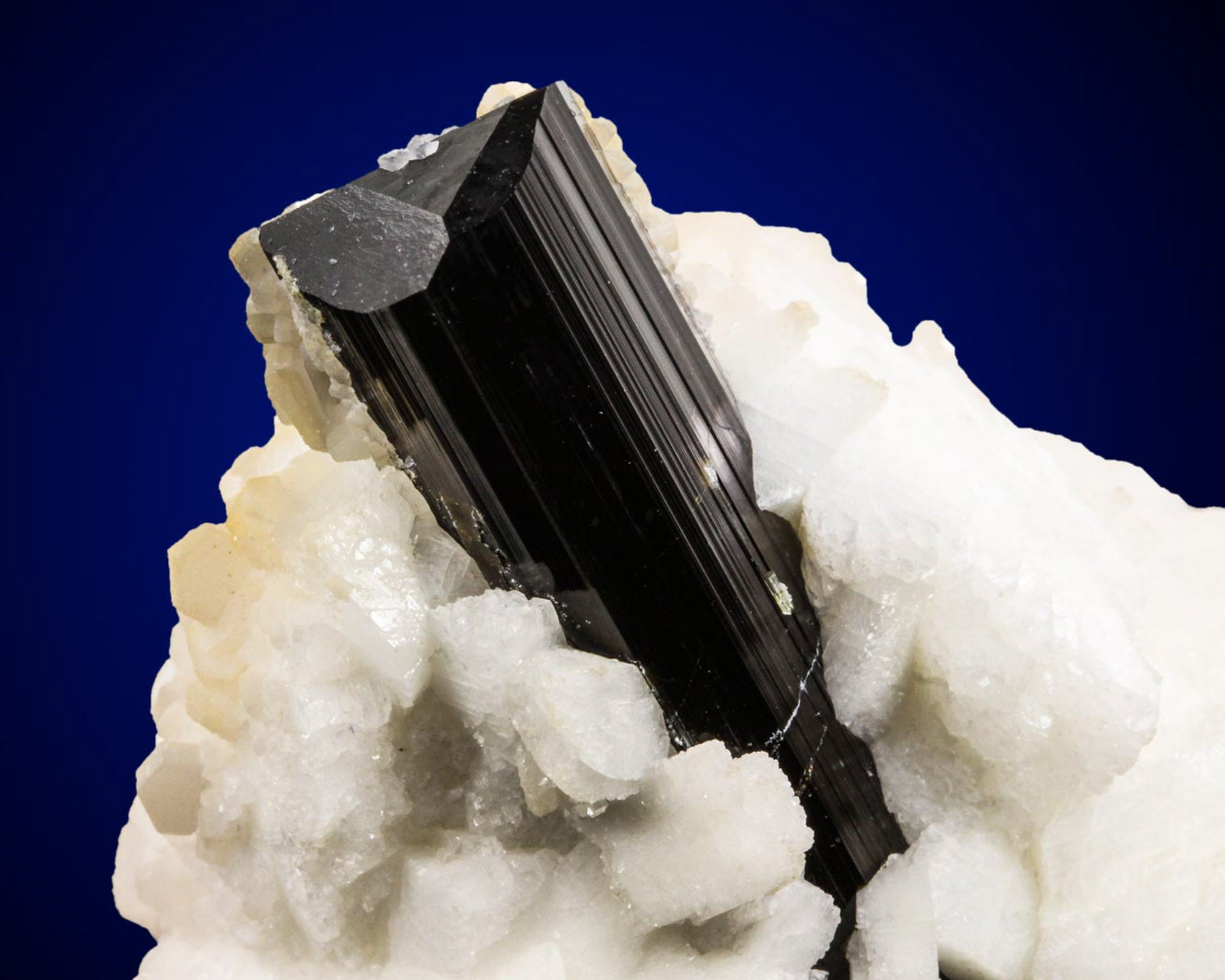 Schorl Tourmaline with Albite