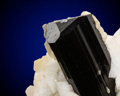 Schorl Tourmaline with Albite