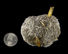 Selenite "Flower"