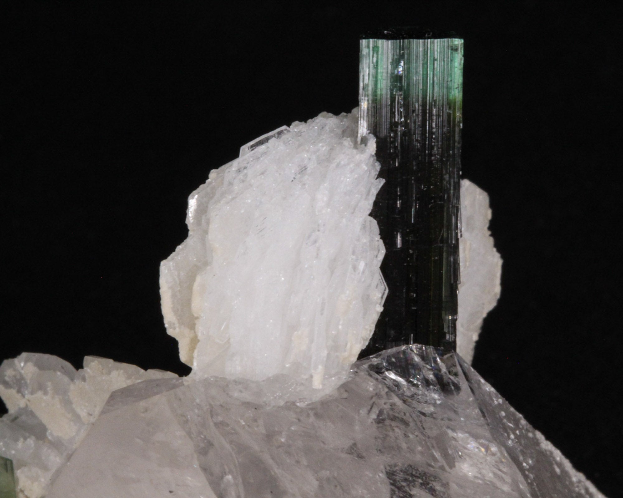 Elbaite Tourmaline on Quartz with Albite